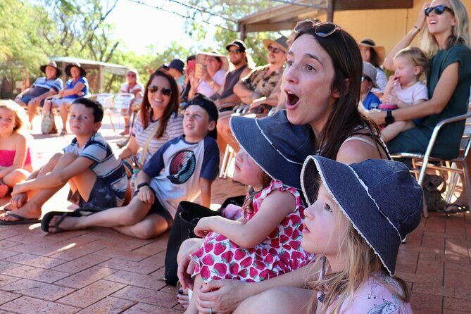 Malcolm Douglas Crocodile Park Tour Including Transportation - Introduction: What to Expect from This Tour