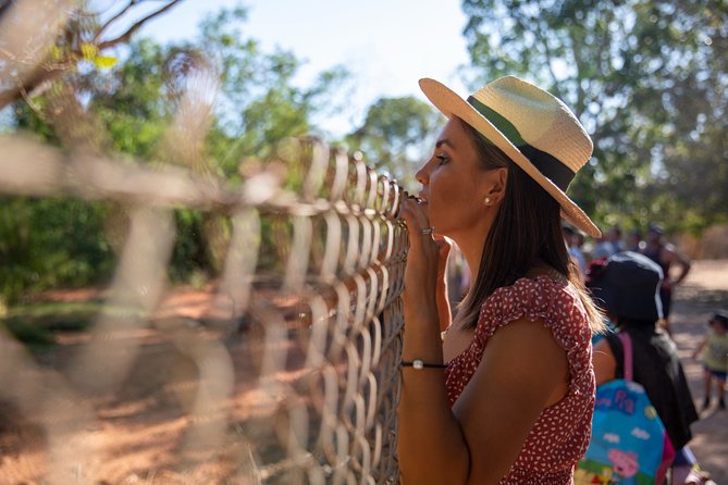 Malcolm Douglas Crocodile Park Tour Including Transportation - Customer Reviews and Ratings