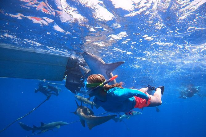 Maldives Adventure 5 Nights Stay With 10 Excursions - Pricing and Reviews