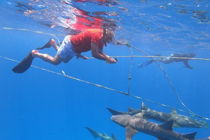 Maldives Adventure 5 Nights Stay With 10 Excursions - Highlights and Attractions