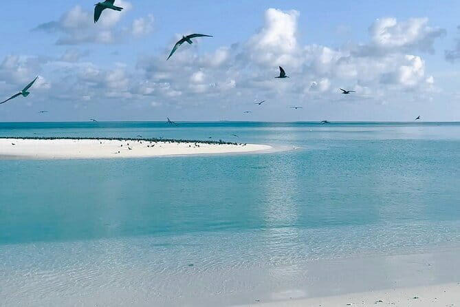 Maldives Dreams A Photoshoot of Love & Laughter with Island Todo - FAQs