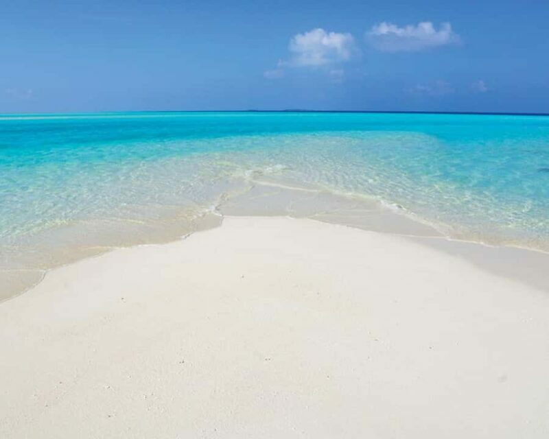 Maldives: Snorkeling with Nurse Sharks, Coral Reef, Sandbank - An Honest Look at the Experience