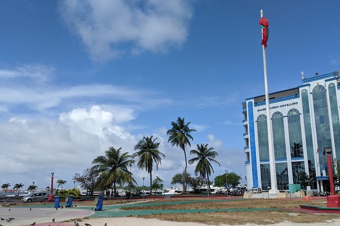 Male City Tour - Language Options (English/Spanish/French/Italian) - Customer Reviews