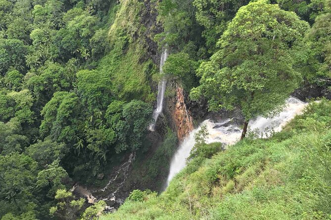 Maleny & Montville Tour With Artisan Village, Lunch, Wine Tasting - Pick-Up and Drop-Off