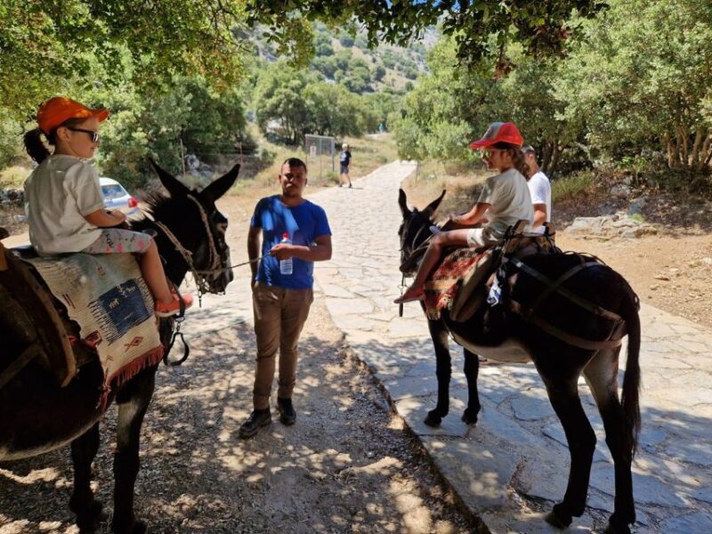 Malia: 4X4 Self Drive Safari Free Pick up & Lunch - Pickup and Drop-off
