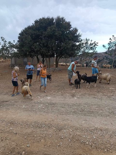 Malia: 4X4 Self Drive Safari Free Pick up & Lunch - Kastelli
