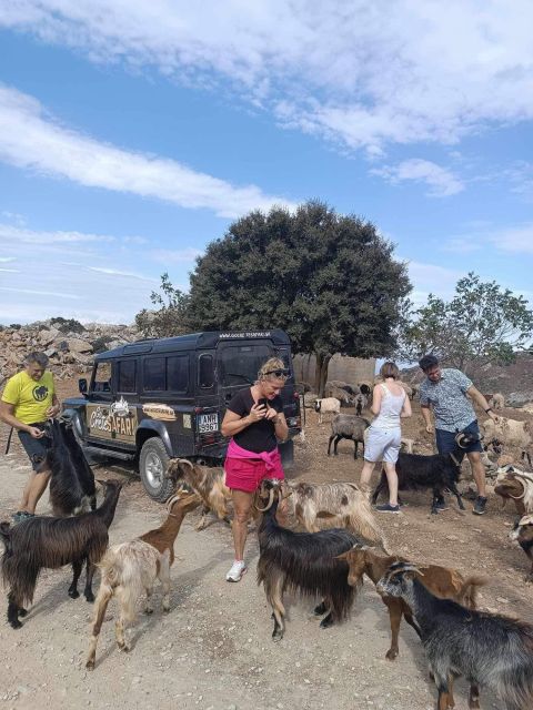 Malia: Land Rover Safari Lasithi Plateau and Zeus Cave - Exploring the Lasithi Plateau