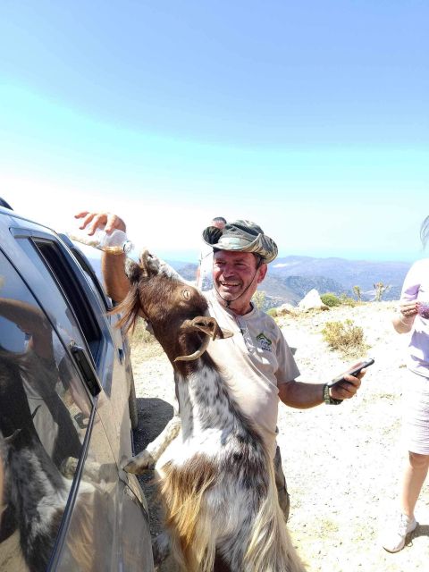 Malia: Land Rover Safari Lasithi Plateau and Zeus Cave - Enjoying the Cretan Meal