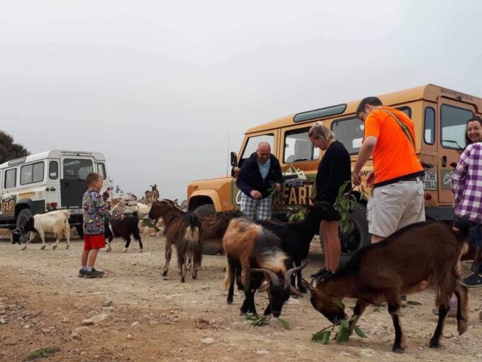Malia: Land Rover Safari Lasithi Plateau and Zeus Cave - Booking and Cancellation Policy