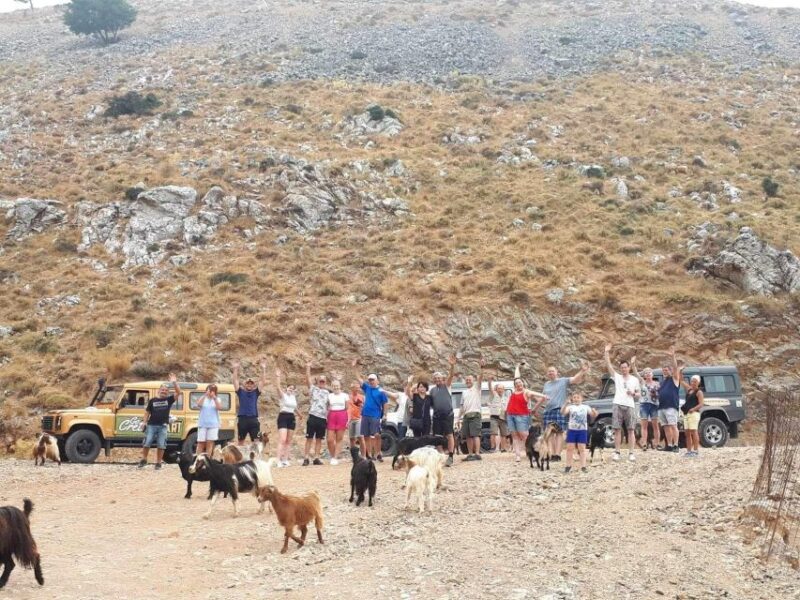 Malia: The Roads of Wine, Olive Oil, and Cretan Tradition - Touring a Winery and Tasting Wine