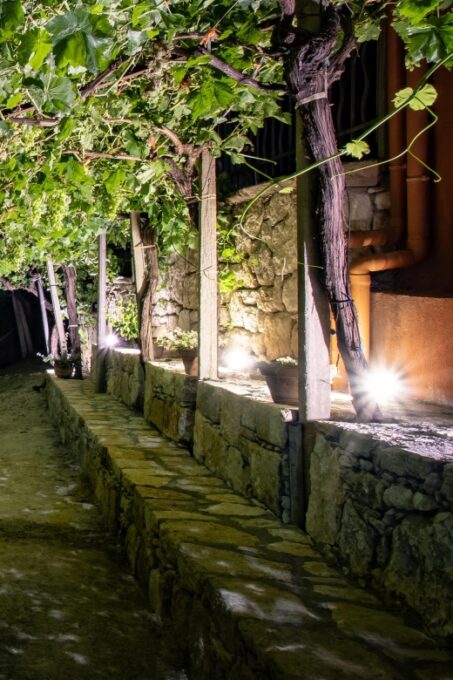 Malia: The Roads of Wine, Olive Oil, and Cretan Tradition - Transportation and Guide Services