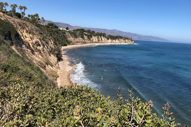Malibu Beach Surf Tour in a Vintage VW Van - Customer Reviews