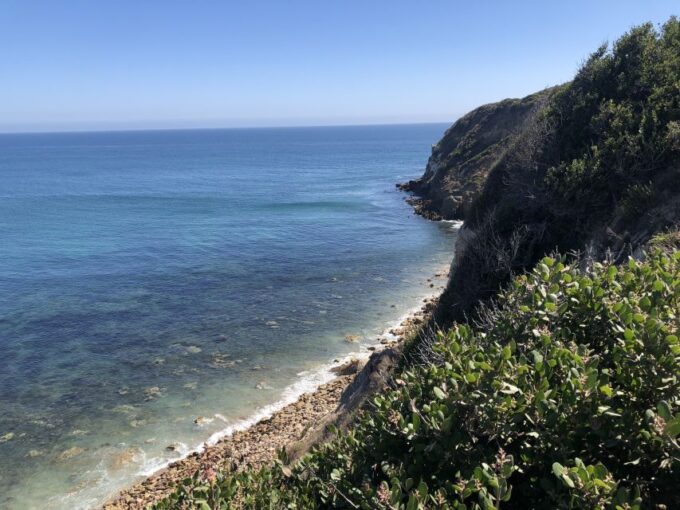 Malibu Beach: Surf Tour in a Vintage VW Van - Photoshoot Opportunities
