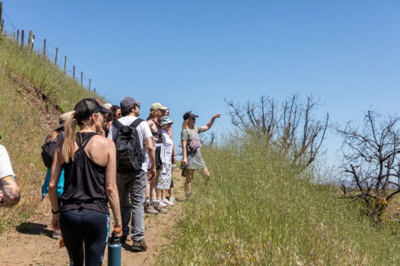 Malibu: Guided Vineyard Hike With Photo Stops and Wine - Safety Precautions and Requirements