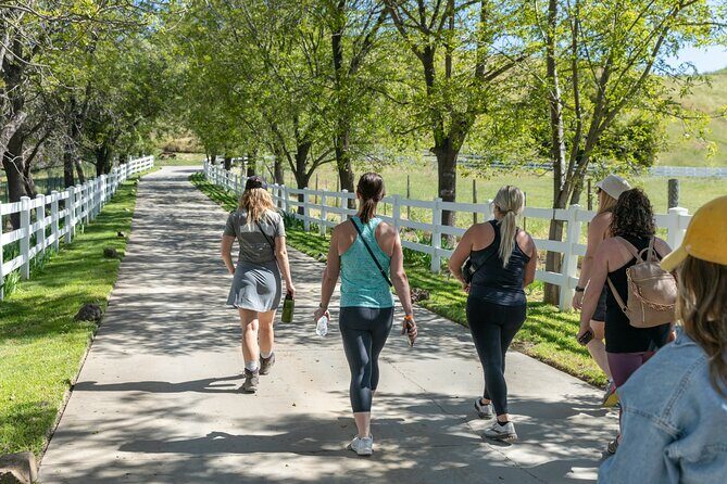 Malibu: Guided Vineyard Hike with Photo Stops and Wine - Why This Tour Works for You