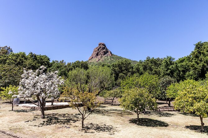 Malibu: Guided Vineyard Hike With Photo Stops and Wine - Cancellation Policy and Weather Conditions