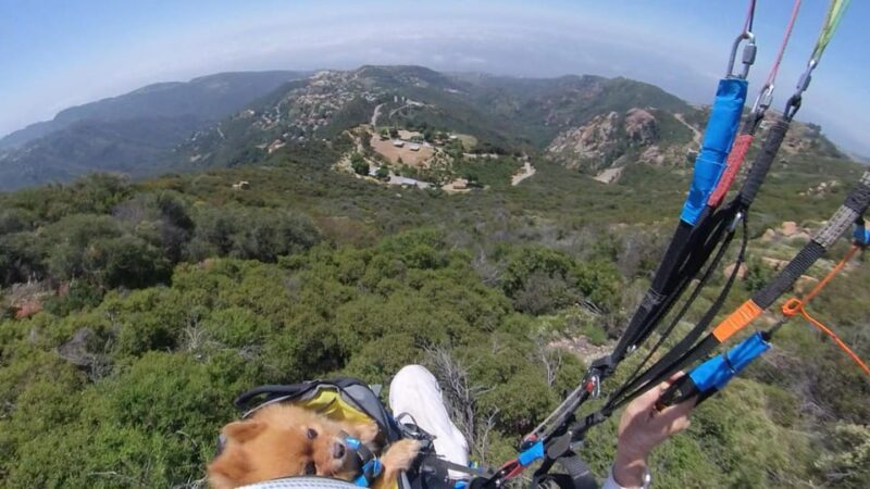 Malibu Hills to Beach: Tandem Paragliding Flight Adventure - Premium Equipment Provided