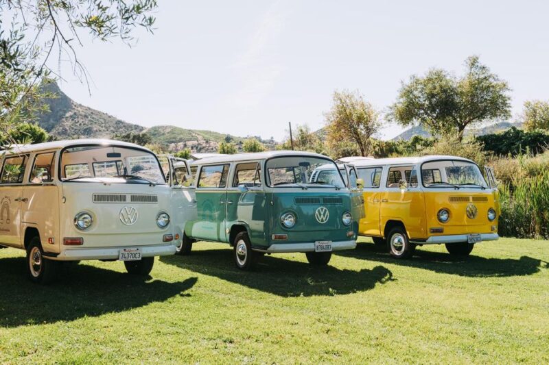 Malibu: Vintage VW Bus and Vineyard Tour - Key Points