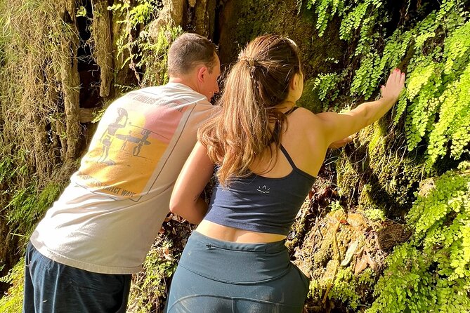 Malibu Waterfall Electric MTB & Hiking Adventure Tour (Beginner) - Exploring the Waterfall Trail