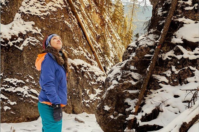 Maligne Valley and Pleckaitis Icewalk - What Travelers Are Saying