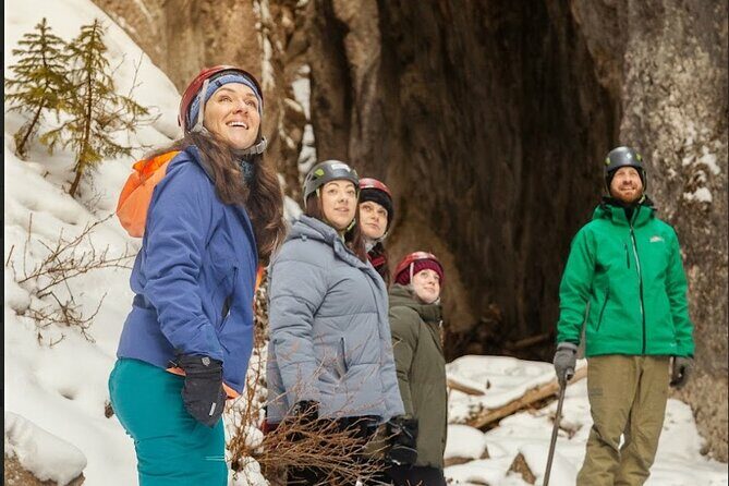 Maligne Valley and Pleckaitis Icewalk - Who Should Consider This Tour?