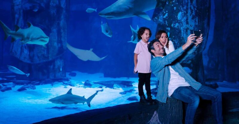Mall of America: Sea Life Minnesota Aquarium Entry Ticket - Unique Features and Conservation Efforts