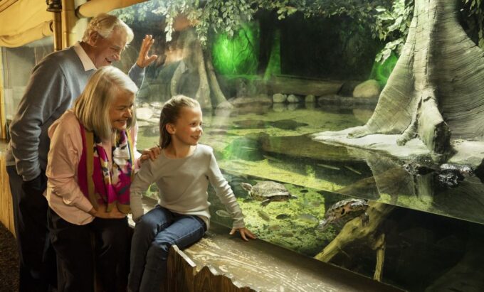 Mall of America: Sea Life Minnesota Aquarium Entry Ticket - Plan Your Visit