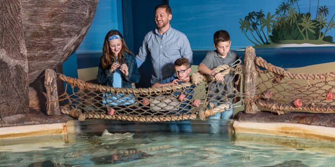 Mall of America: Sea Life Minnesota Aquarium Entry Ticket - Explore the Aquarium