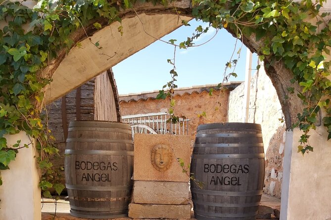 Mallorc Bodega & Olive Minibus Tour Including Pickup From South Coast - Inclusions