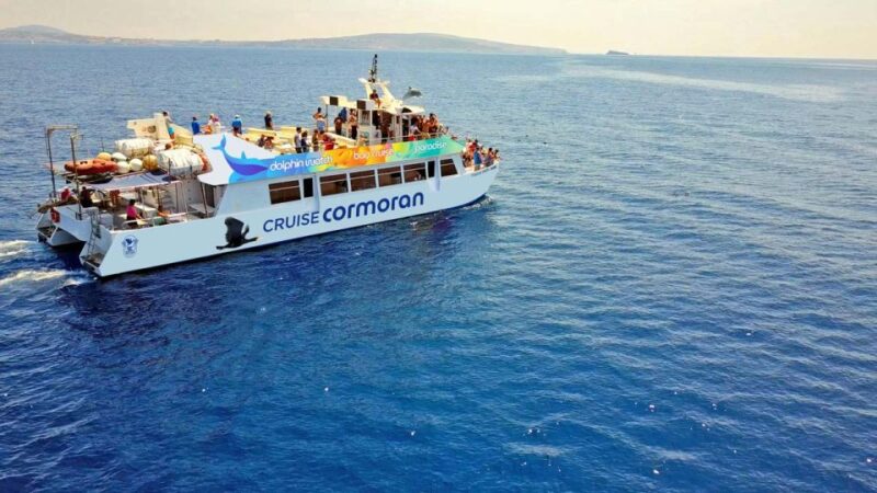 Mallorca: 2-Hour Dolphin Watching Cruise & Glass-Bottom Boat - Dolphin Observation Highlights