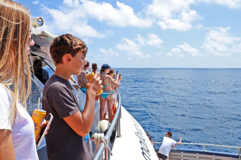 Mallorca: 2-Hour Dolphin Watching Cruise & Glass-Bottom Boat - On-Board Refreshments