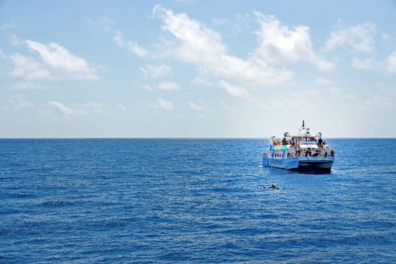 Mallorca: 2-Hour Dolphin Watching Cruise & Glass-Bottom Boat - Booking and Cancellation