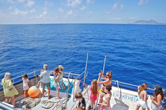 Mallorca: 3-Hour Afternoon Dolphin Watching Boat Tour - Recap