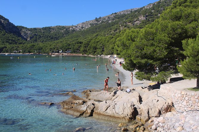 Mallorca: 4-Hour Tour of Formentor by Bus and Boat From North Area - Meeting Point and Logistics