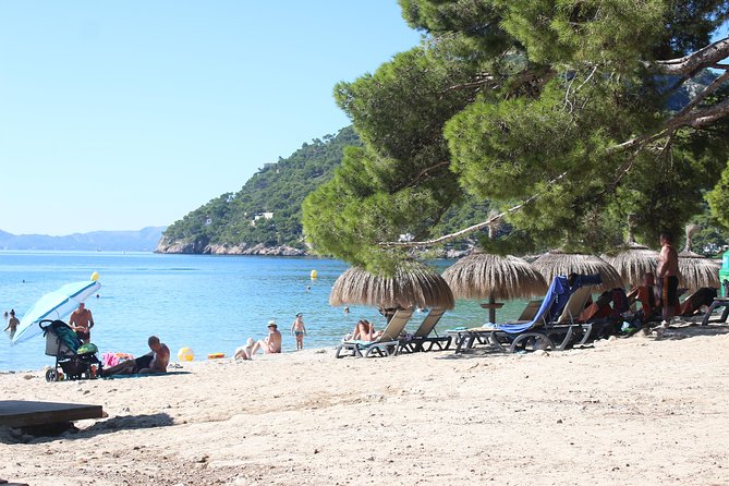 Mallorca: 4-Hour Tour of Formentor by Bus and Boat From North Area - Accessibility and Requirements