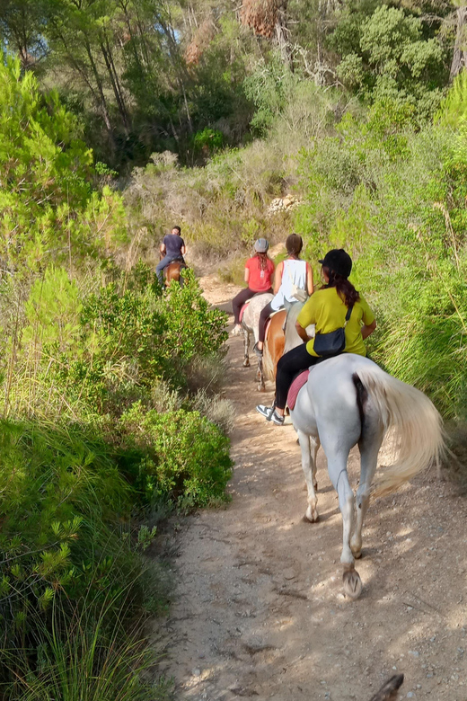 Mallorca: Activity, Antique Mallorca With Picnic - Booking Information