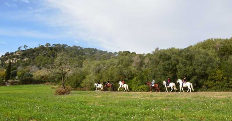 Mallorca: Activity, Antique Mallorca With Picnic - Experience Highlights