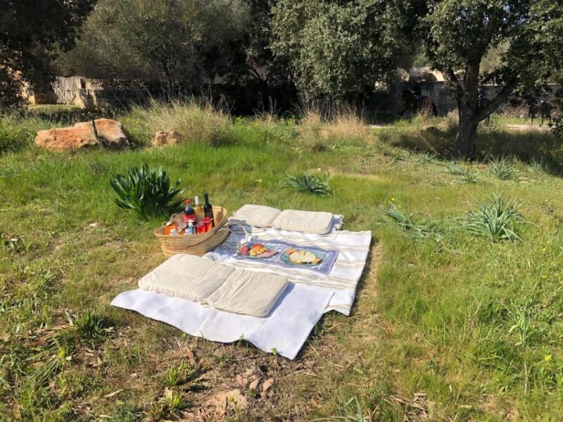 Mallorca: Activity, Antique Mallorca With Picnic - Inclusions and Safety