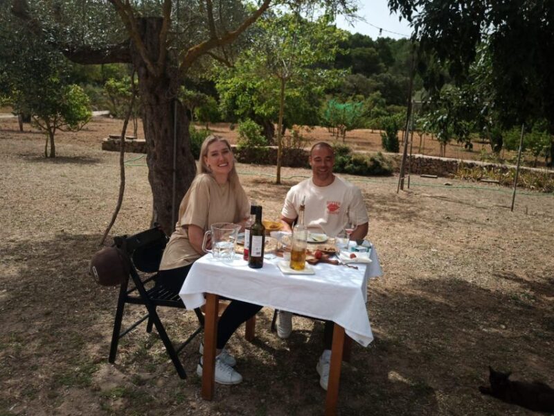 Mallorca: Activity, Antique Mallorca With Picnic - Participant Restrictions