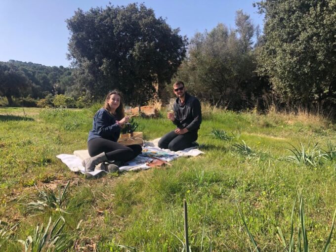 Mallorca: Activity, Antique Mallorca With Picnic - Getting to the Equestrian Center