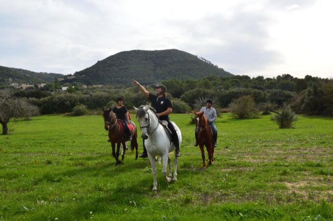 Mallorca: Activity, Antique Mallorca With Picnic - Frequently Asked Questions
