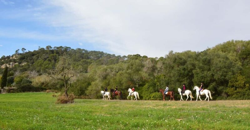 Mallorca: Activity, Antique Mallorca With Picnic - Key Points