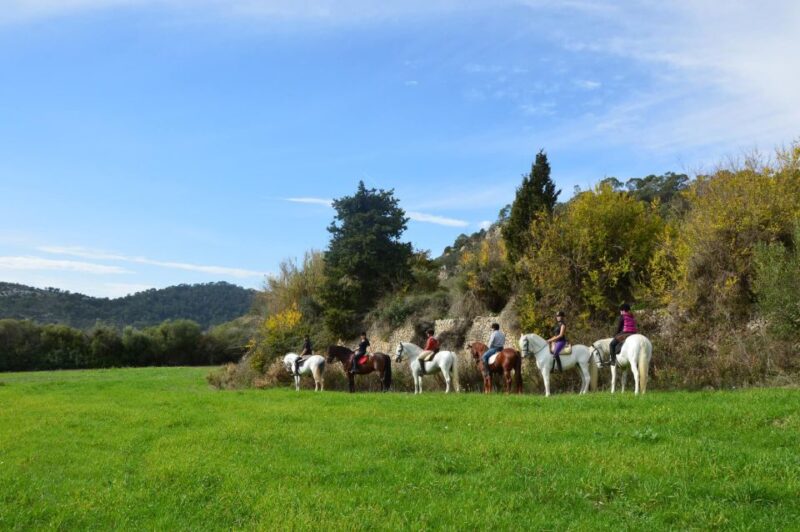 Mallorca: Activity, Antique Mallorca With Picnic - Mallorcan Dishes and Cava