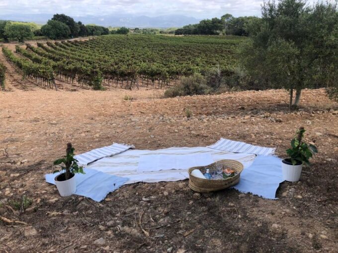 Mallorca: Activity, Antique Mallorca With Picnic - Necessary Equipment Provided