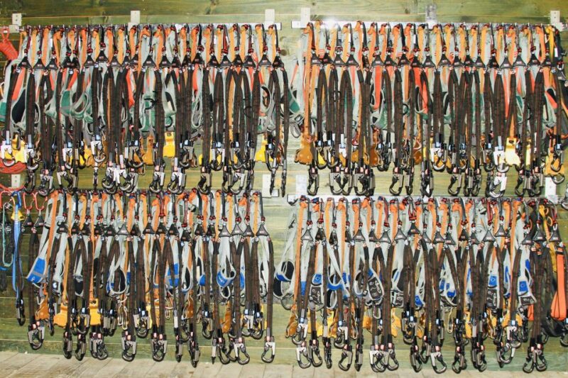 Mallorca: Adrenaline Tree Top Adventure Entry Ticket - What to Expect
