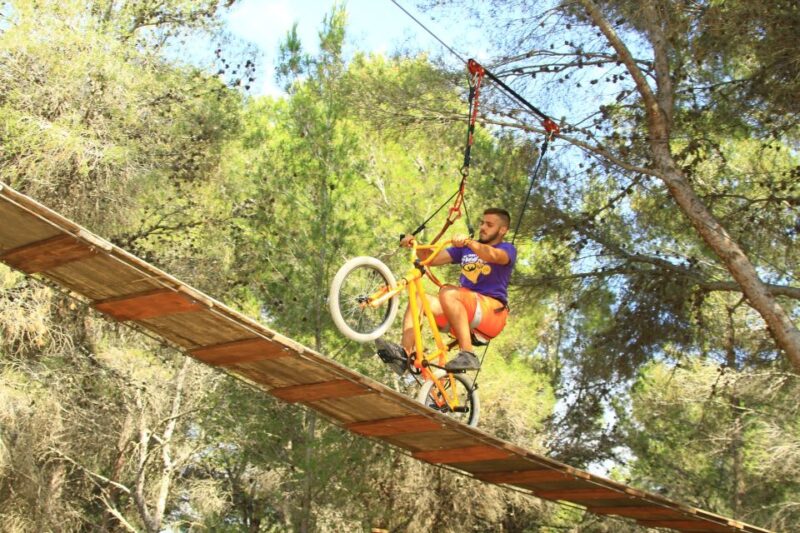 Mallorca: Adrenaline Tree Top Adventure Entry Ticket - Key Points
