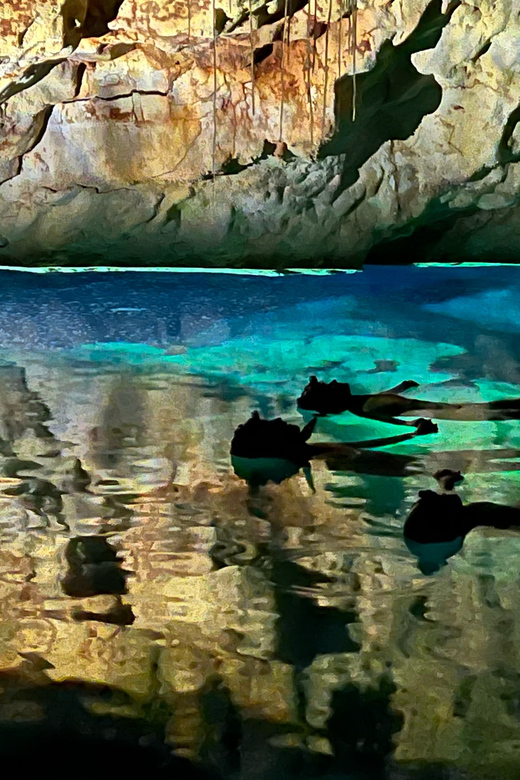 Mallorca: Aquatic Cave Exploration Guided Tour (2 Languages) - Participant Restrictions