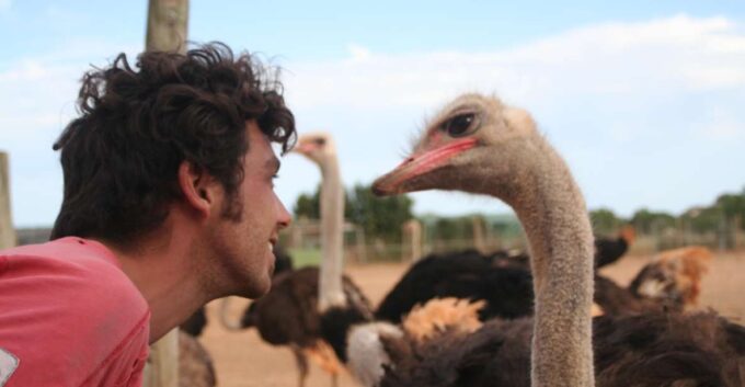 Mallorca: Artestruz - Ostrich Farm Ticket Entrance - Accessibility and Language Support