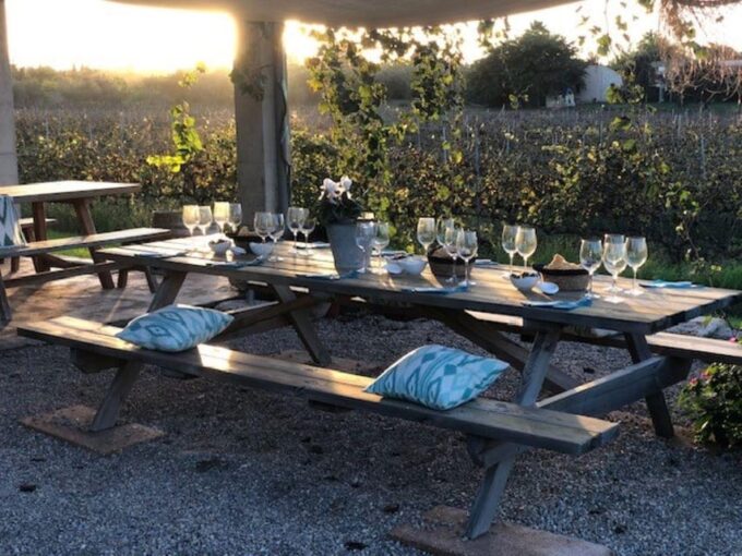 Mallorca: Bodega Butxet Vineyards & Winery Tour With Tasting - Savoring the Wine Tasting
