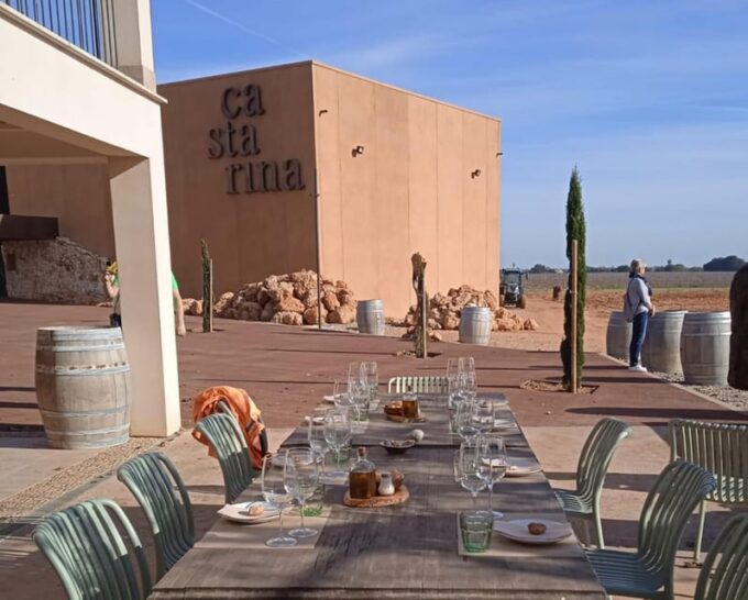 Mallorca: Bodega & Olives Minibus Tour With Tastings GERMAN - Additional Information